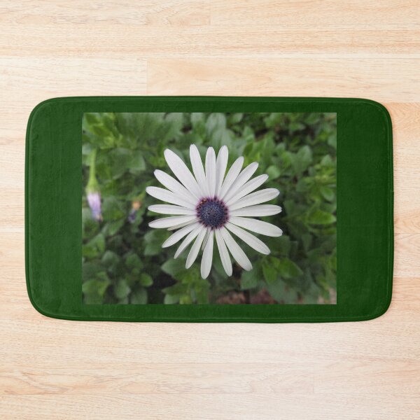 Item preview, White Daisy Soloist designed and sold by Yolanda Caporn Art.