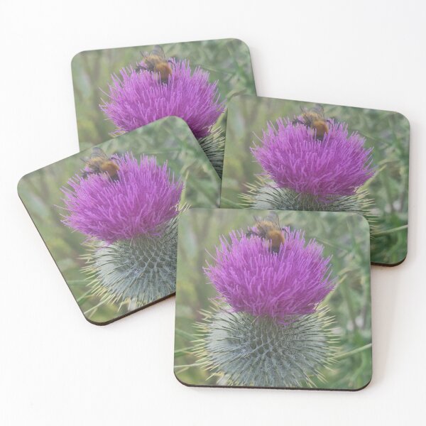 Artikelvorschau, Schottische Distel entworfen und verkauft von CR-Photography.