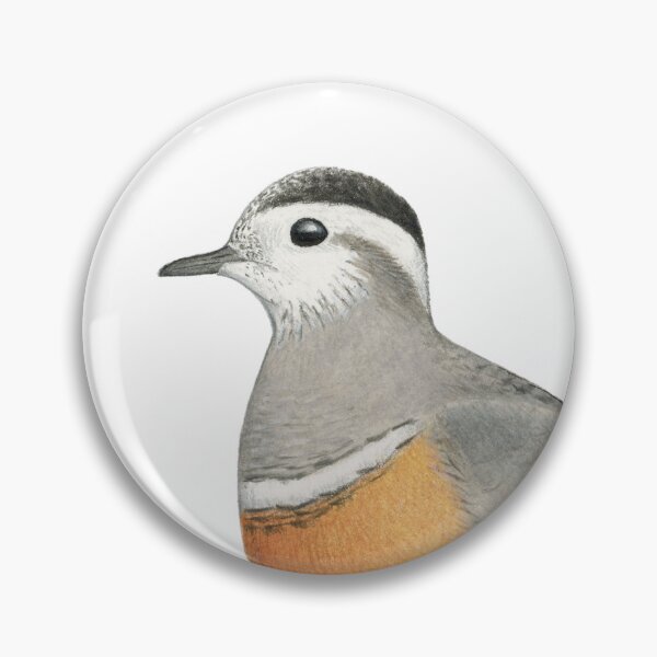 Item preview, Eurasian Dotterel designed and sold by Holly Grogan Art.