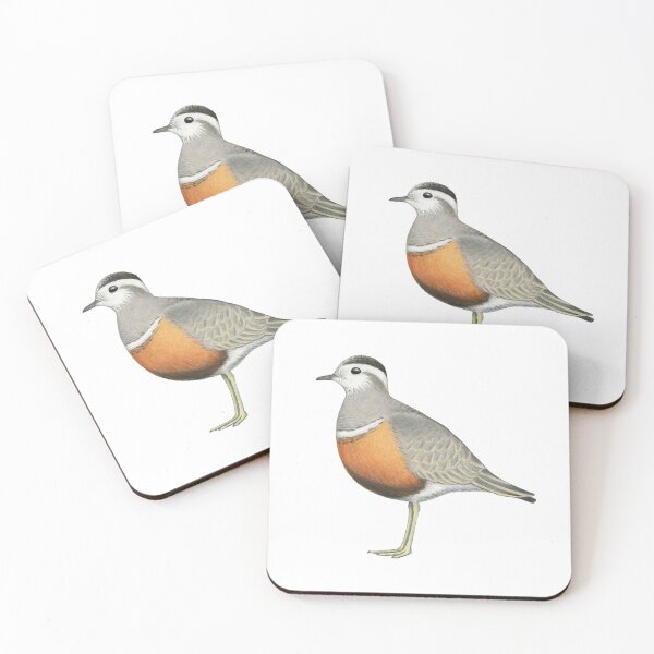 Item preview, Eurasian Dotterel designed and sold by Holly Grogan Art.