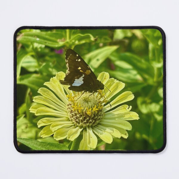 Item preview, Butterfly designed and sold by Suezwaals.