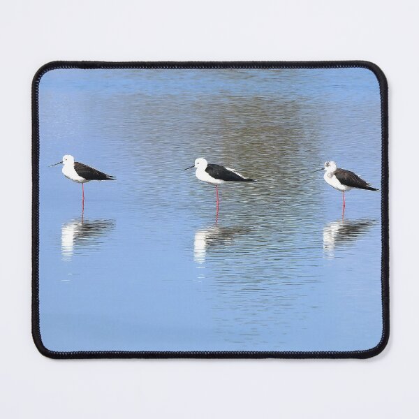 Item preview, Stillness in Quartet – Ballet of the Stilts designed and sold by ViktoriaLens.
