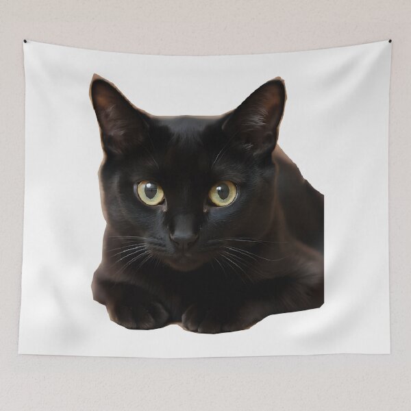 Item preview, Black Cat with Green Eyes – Realistic Cat Portrait designed and sold by RAKO13.