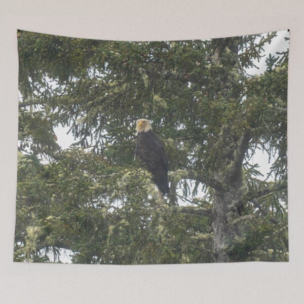 Item preview, Eagle in the Rain designed and sold by TinyDinoDesigns.