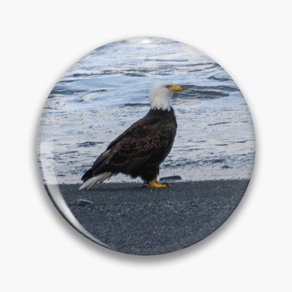 Item preview, Eagle on the Beach designed and sold by TinyDinoDesigns.