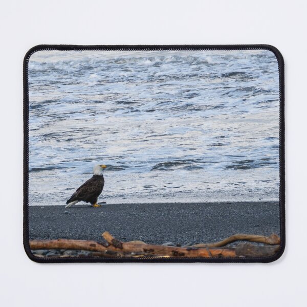 Item preview, Eagle on the Beach designed and sold by TinyDinoDesigns.