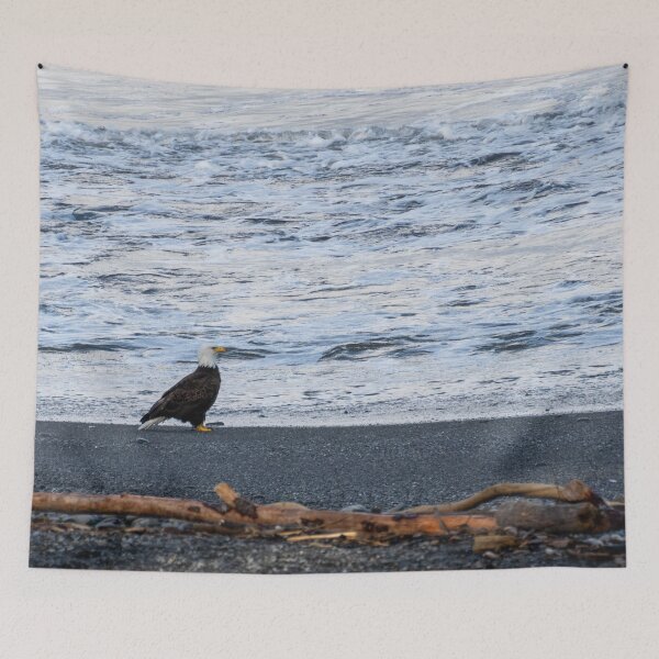 Item preview, Eagle on the Beach designed and sold by TinyDinoDesigns.