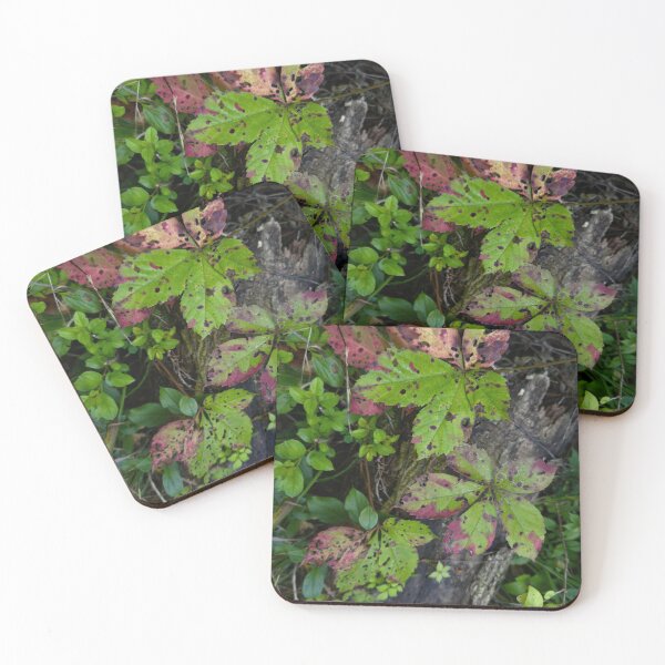 Item preview, Living Isn’t Always Gentle designed and sold by Dynahgrl.