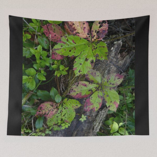 Item preview, Living Isn’t Always Gentle designed and sold by Dynahgrl.