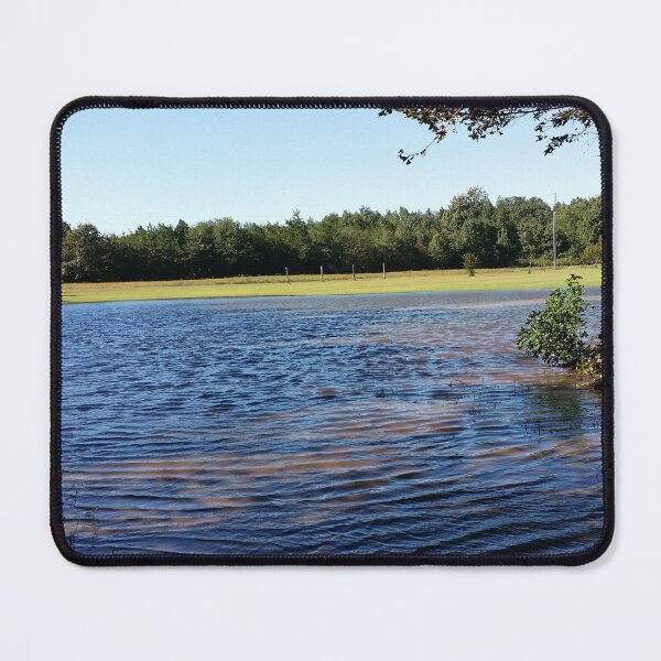 Item preview, Flood waters designed and sold by MorenoArtStudio.