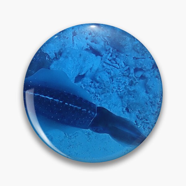 Item preview, Underwater - Squid in Bonaire by Wagonesta  designed and sold by Wagonesta.