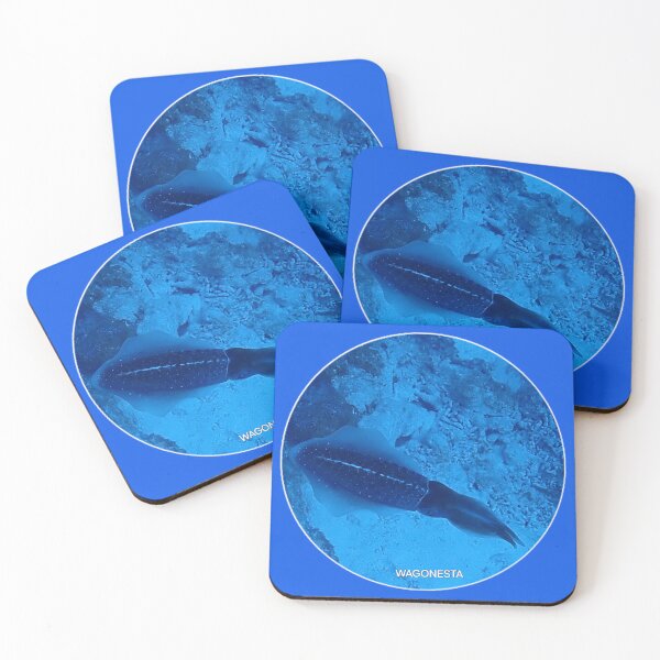 Item preview, Underwater - Squid in Bonaire by Wagonesta  designed and sold by Wagonesta.