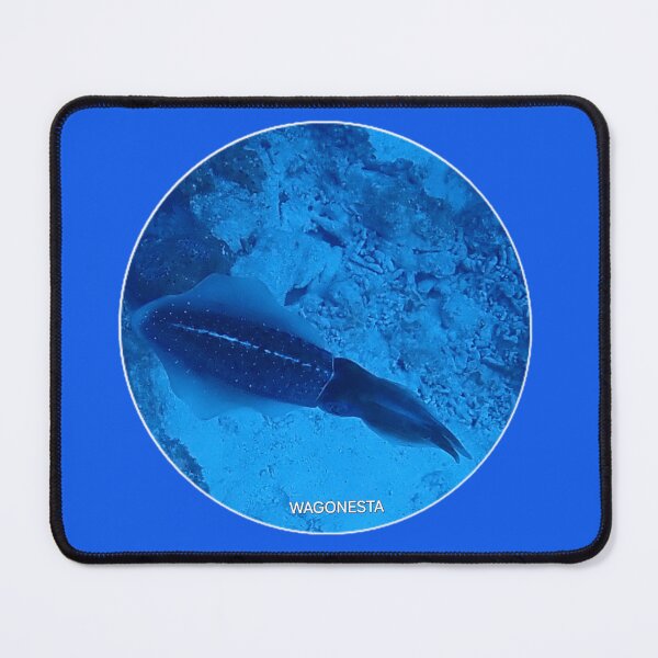 Item preview, Underwater - Squid in Bonaire by Wagonesta designed and sold by Wagonesta.