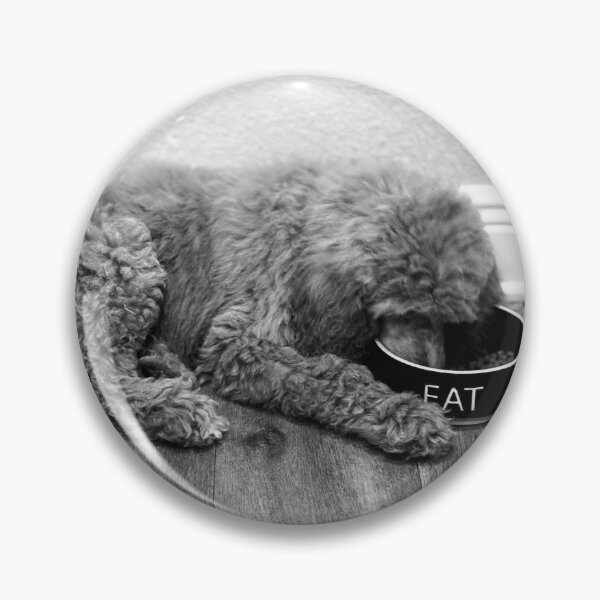 Item preview, Ziba Eats designed and sold by Neema Fallon.