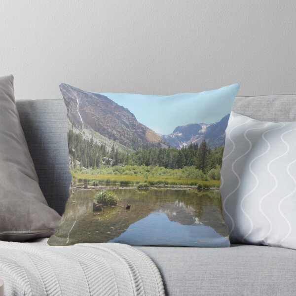 Item preview, Fotografía artística del estanque de castores en Lundy Canyon designed and sold by Skeleton in a Cage Art Studio.