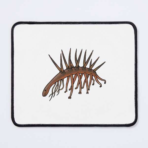 Item preview, Hallucigenia, Cute Prehistoric Spiny Worm Illustration designed and sold by Vendeloc.
