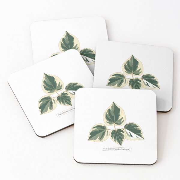 Item preview,  Pilea Variegata Label — Botanical Sticker & Pin designed and sold by EtherealShade.