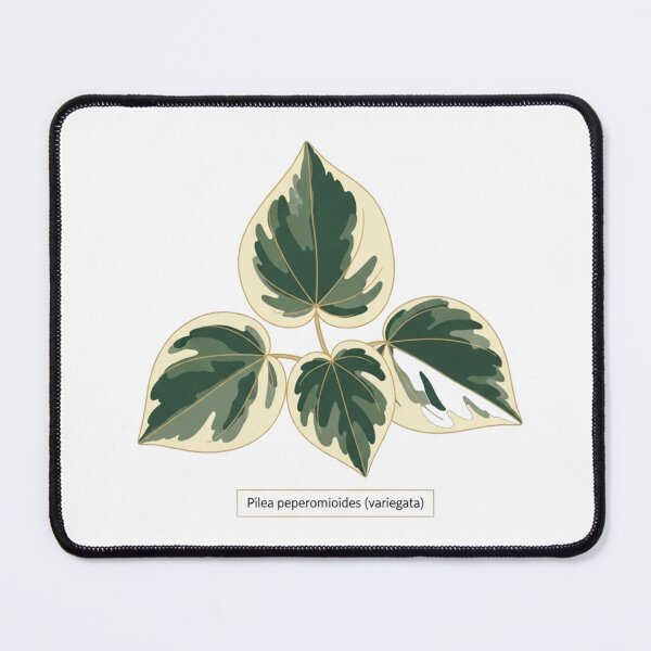 Item preview,  Pilea Variegata Label — Botanical Sticker & Pin designed and sold by EtherealShade.