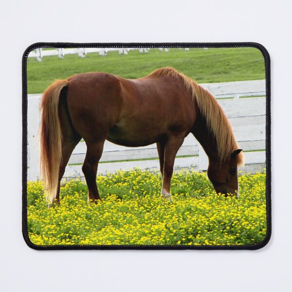 Item preview, Kentucky Gold ~ Race Horses designed and sold by SummerJade.