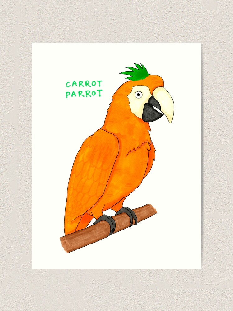 carrots for parrots