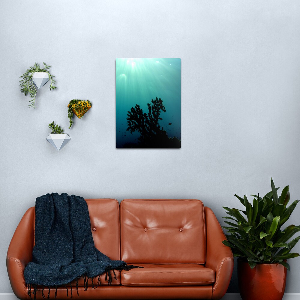 Mei-Mei-Ara Metal Print