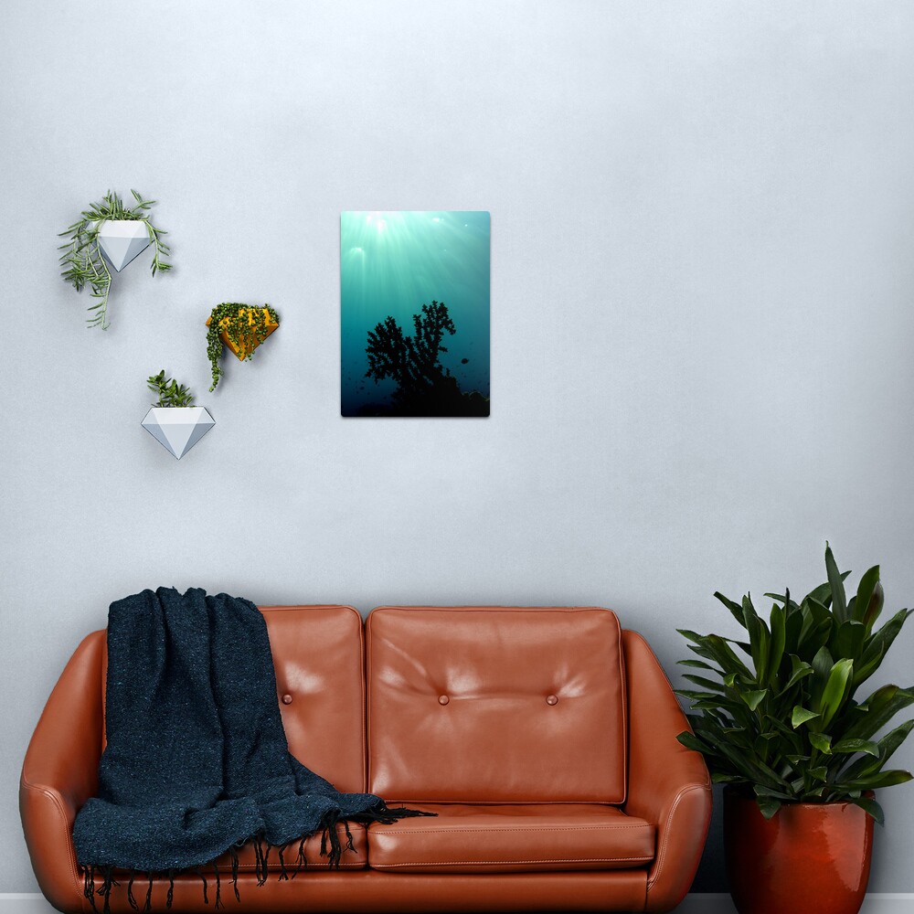 Mei-Mei-Ara Metal Print