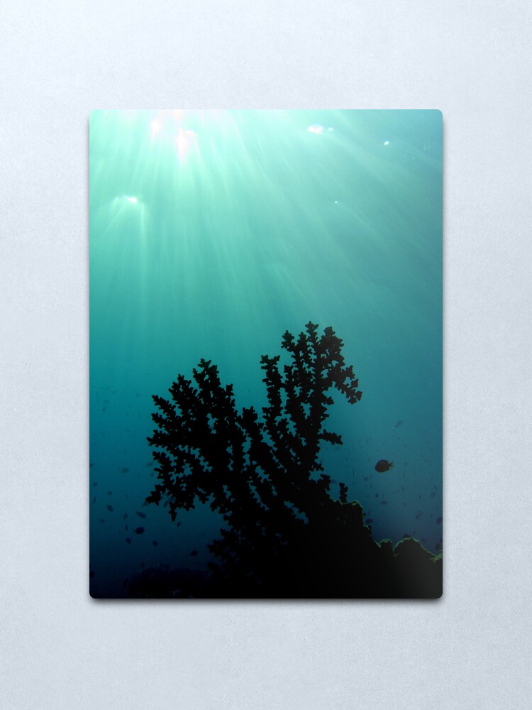Alternate view of Mei-Mei-Ara Metal Print