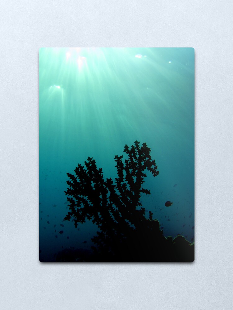 Alternate view of Mei-Mei-Ara Metal Print
