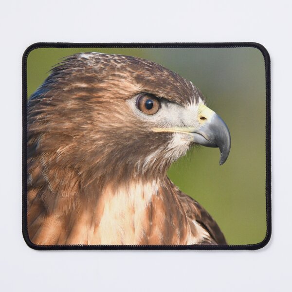 Item preview, Majestic Hawk Profile designed and sold by richardbryce.