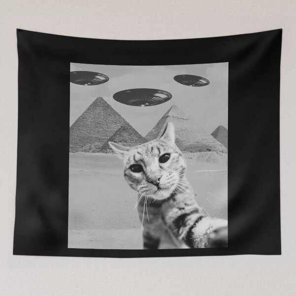 Artikelvorschau, Katzen-UFO-Meme – Lustiges Katzen-Selfie mit UFOs entworfen und verkauft von Gravly.