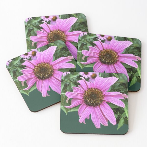 Item preview, Coneflower shows huge pink purple daisy flower  designed and sold by MYTOPSHELF.