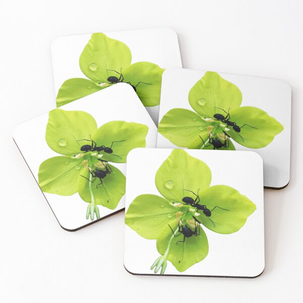 Item preview, Two Ants on a Clover – Nature’s Tiny Encounter designed and sold by StilKreationen.