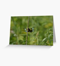 Dragon Fly Greeting Card