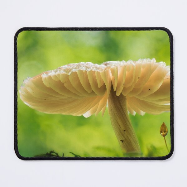 Item preview, Under Green Trees designed and sold by A Divergent Lens.