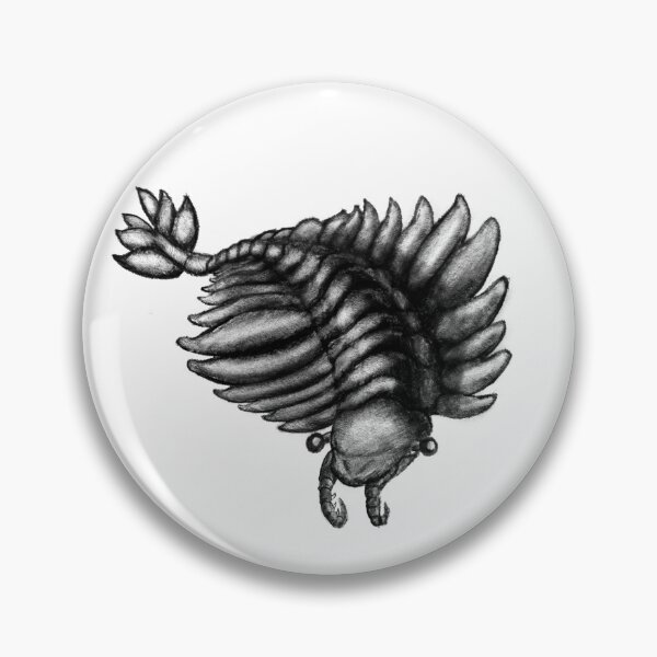 Item preview, Anomalocaris designed and sold by Fossilized Designs.