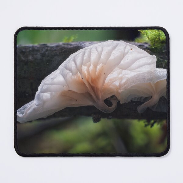 Item preview, Fairy Parachutes designed and sold by A Divergent Lens.