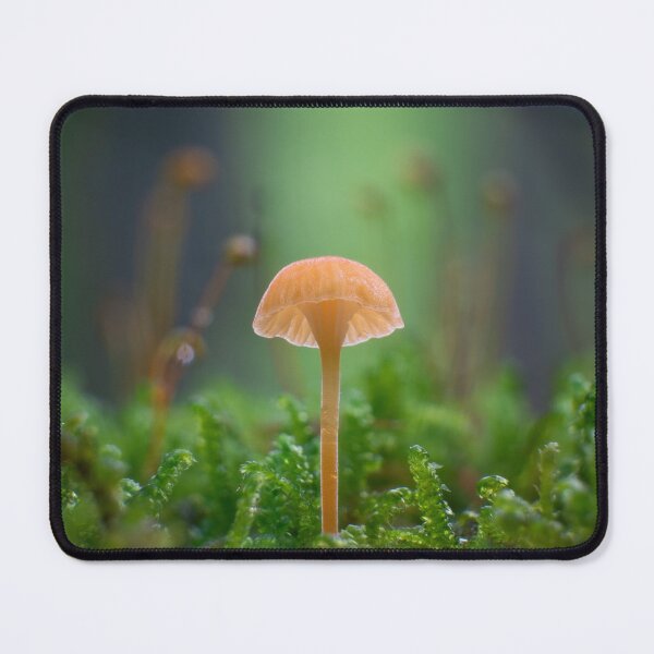 Item preview, Orange Moss Agaric designed and sold by A Divergent  Lens.