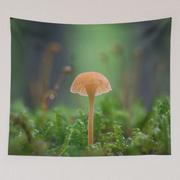 Item preview, Orange Moss Agaric designed and sold by A Divergent  Lens.