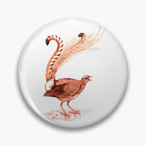 Item preview, Lyrebird The Amazing Bird designed and sold by ramwebroom.
