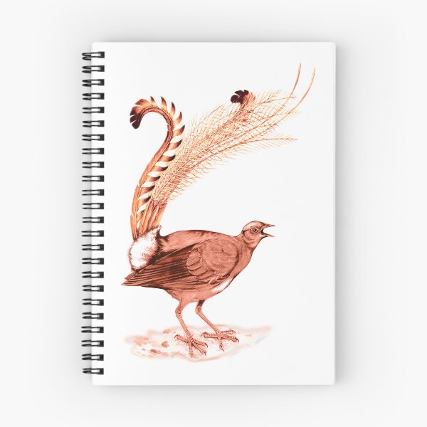 Item preview, Lyrebird The Amazing Bird designed and sold by ramwebroom.