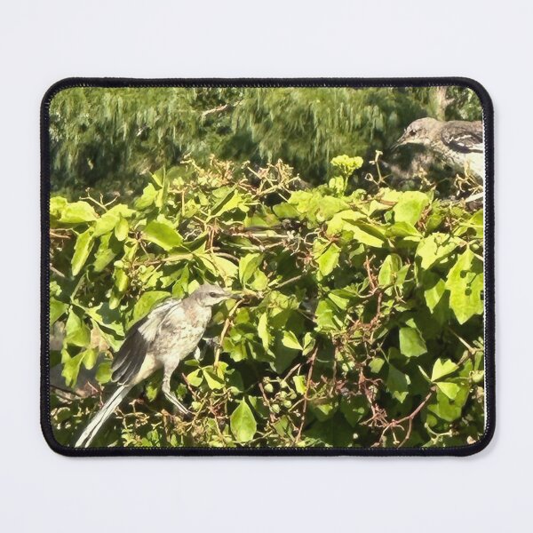 Item preview, Baby Mockingbirds  designed and sold by WhispFeathers.