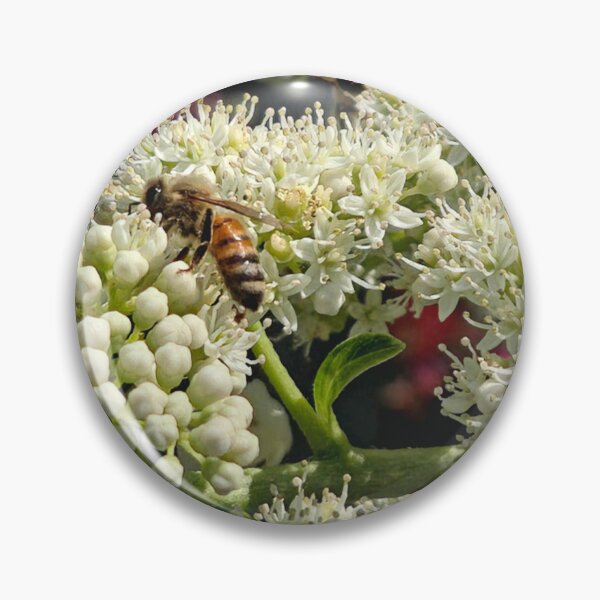 Item preview, Busy Little Honeybees designed and sold by Betsy Phillips.