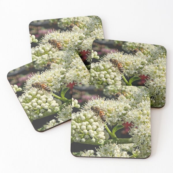 Item preview, Busy Little Honeybees designed and sold by Betsy Phillips.