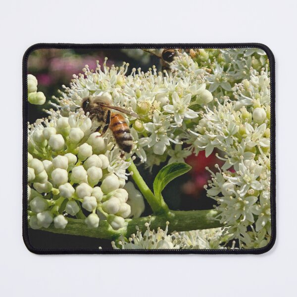Item preview, Busy Little Honeybees designed and sold by Betsy Phillips.