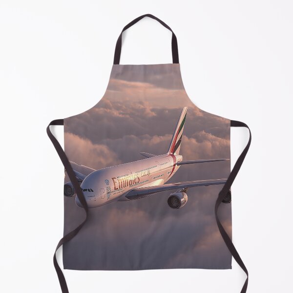 Artikelvorschau, Ausdruck der Logo-Typografie des Emirates A380-Flugzeugs entworfen und verkauft von Skyframe Aviation.