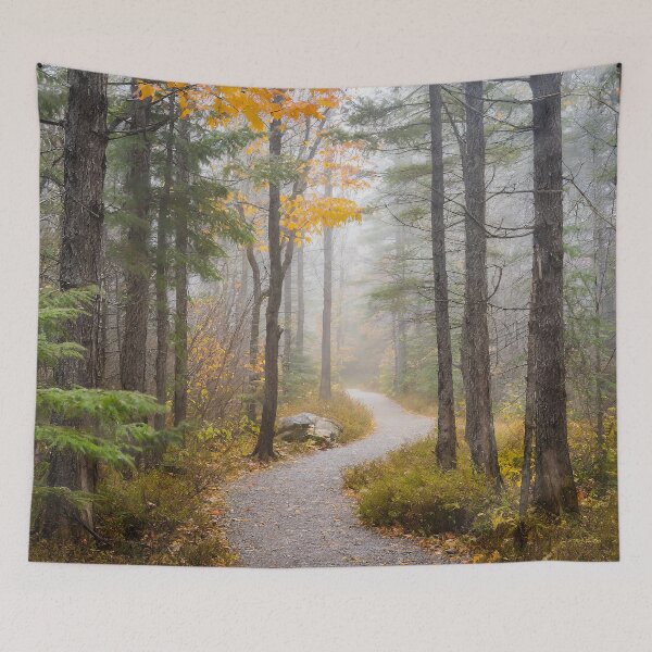 Item preview, Path Through the Morning Mist designed and sold by Yannik Hay.