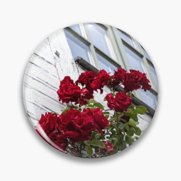 Item preview, The rose bush designed and sold by Marylou Badeaux.