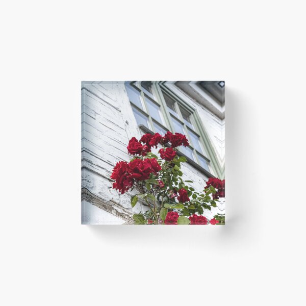 Item preview, The rose bush designed and sold by Marylou Badeaux.