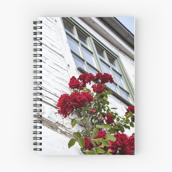 Item preview, The rose bush designed and sold by Marylou Badeaux.