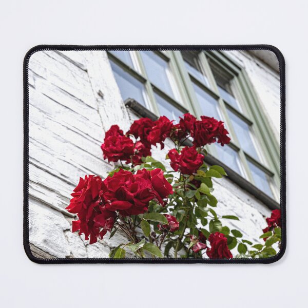Item preview, The rose bush designed and sold by Marylou Badeaux.